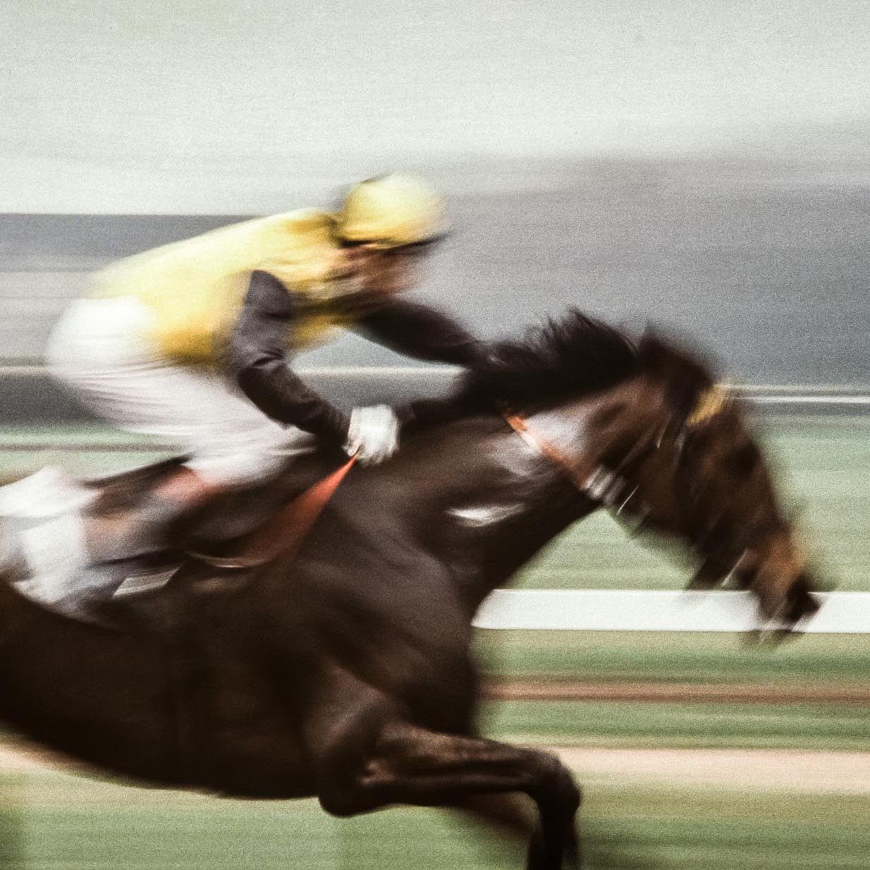 Galopprennen | Gallop race